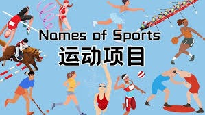 的应对弹性